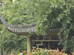 -成飞公园