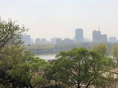 -莲花池公园