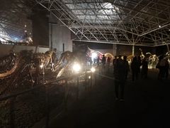 -衢州市博物馆