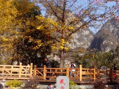 景点-武当山风景区