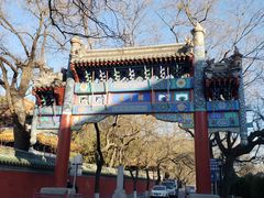 -北京国子监胡同