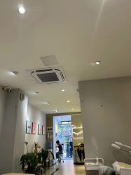 -洗脸猫·洗脸吧
