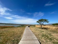 -野鸭湖国家湿地公园