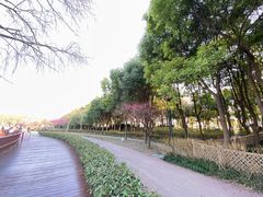 -嘉北郊野公园