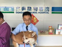 -宠颐生东兴动物医院(大悦城店)