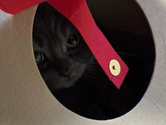 -麦当劳(展览路店)