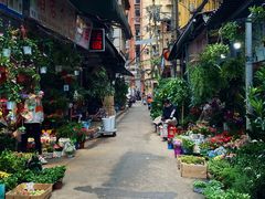 -循礼门鲜花花市(武汉循礼门店)