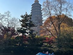 -红梅公园