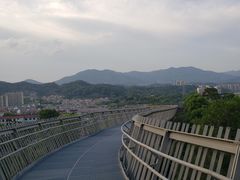 -福道