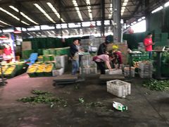 -双福水果批发市场