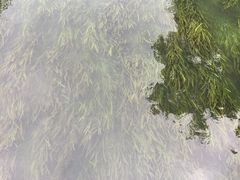 -浙江大学(玉泉校区)