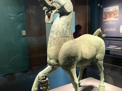 -广西壮族自治区博物馆