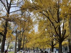 -四川大学(华西校区)