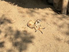-竹泉村旅游度假区