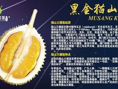 -都念榴莲·城市榴莲