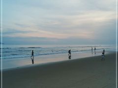 -椰蓝湾酒店-中餐厅