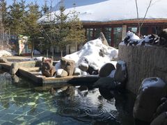 -汉拿山温泉度假酒店
