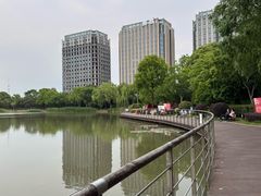-南翔镇银翔湖公园