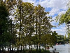 -上海共青森林公园