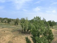 -银肯塔拉沙漠生态旅游景区