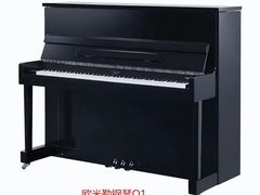 -秦川乐器(河西店)