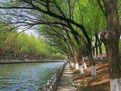 -南长河公园