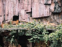 -长鹿旅游休博园