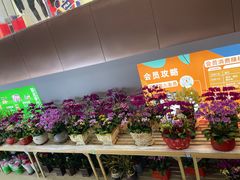 -丽达购物中心(崂山店)