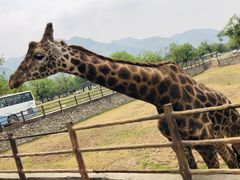 -西安秦岭野生动物园