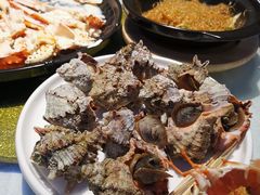 白灼大海螺-79号渔船海鲜饭店(华强北店)