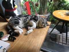 -咖法森林·咖啡  酒吧(天河店)