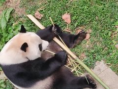 -黔灵山公园