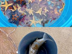 -前王院•巧克力海鲜市集餐厅(万平口店)