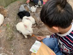 -西霞口神雕山野生动物世界