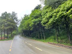-贵州森林野生动物园
