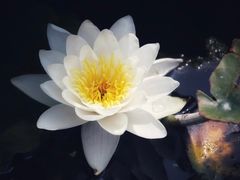 -前关湿地公园