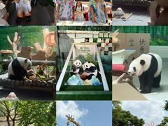 -灵玲国际马戏城
