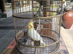 -那家小馆•北京菜•烤鸭(香山店)