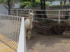 -丽泽山庄·生态怀柔菜·虹鳟鱼(红螺寺店)
