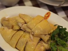 -文东记(马里士他路)