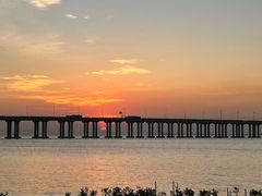 -宝安西湾红树林湿地公园