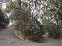 -雨花胜境