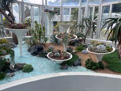 -深圳仙湖植物园