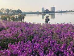 -顺峰山公园