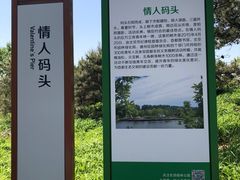 -东郊湿地公园