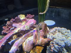 -香港海洋公园