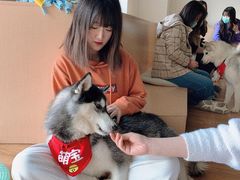 -Husky Go! 哈士奇体验馆·宠物咖啡厅狗咖
