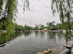 -莲湖公园