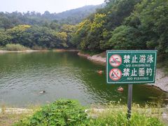 -紫金山山顶公园