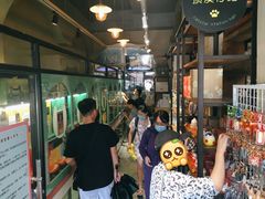 -猫咪博物馆(顶澳仔猫街店)